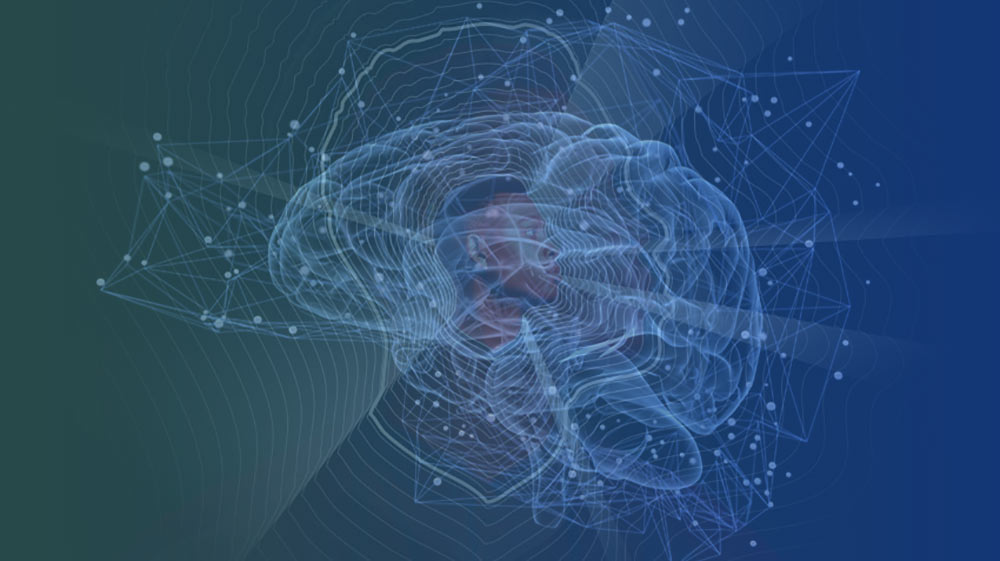 Information Is Processed