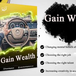 Advanced wealth acquisition - educational product